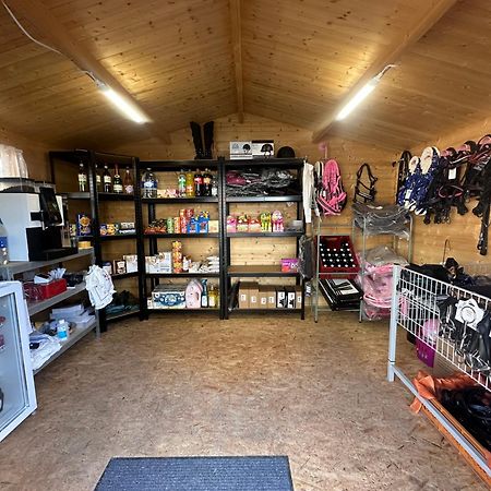 Fewo Im Reit- Und Ponyparadies Roos Halle  Exterior foto