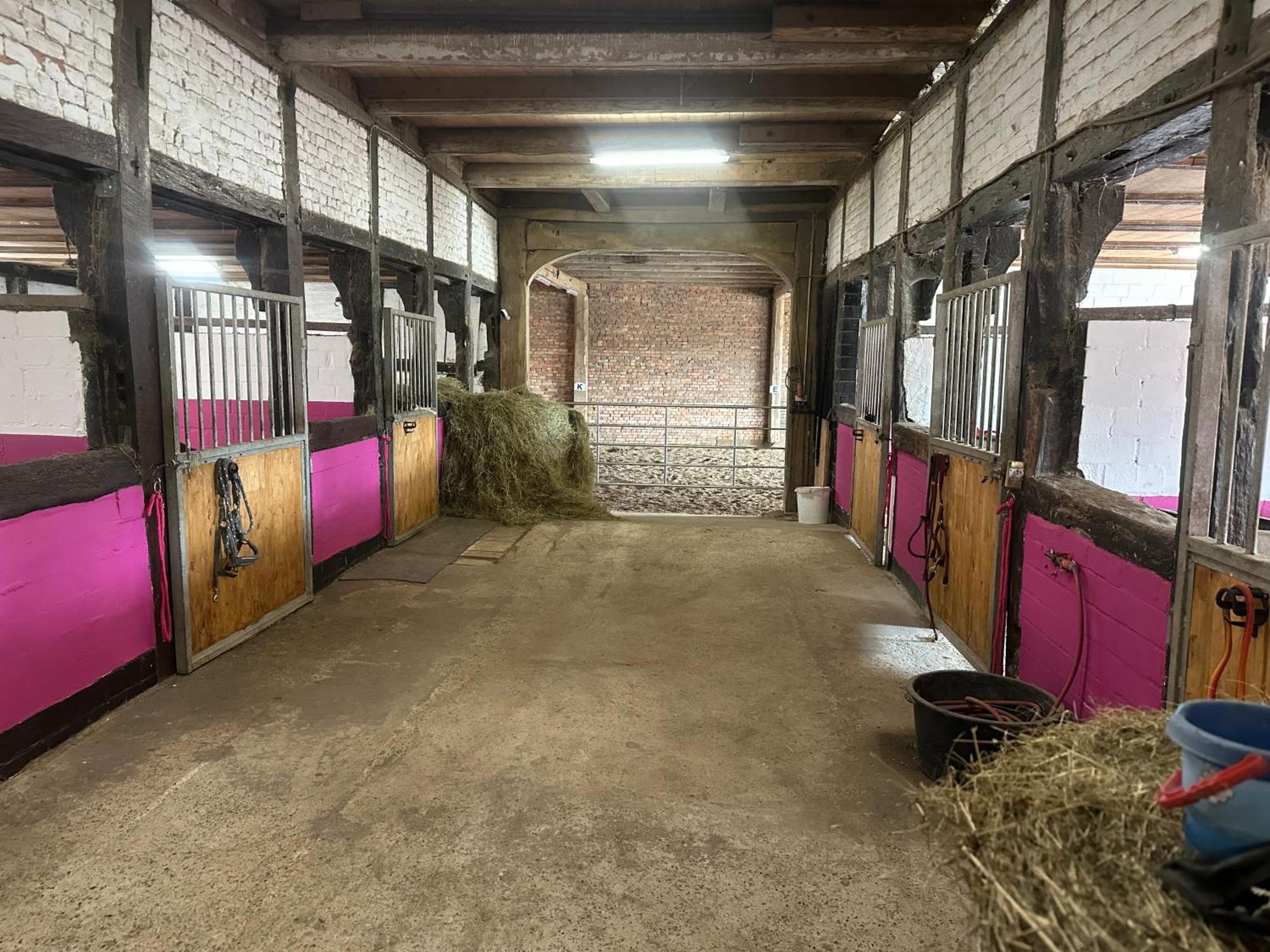 Fewo Im Reit- Und Ponyparadies Roos Halle  Exterior foto